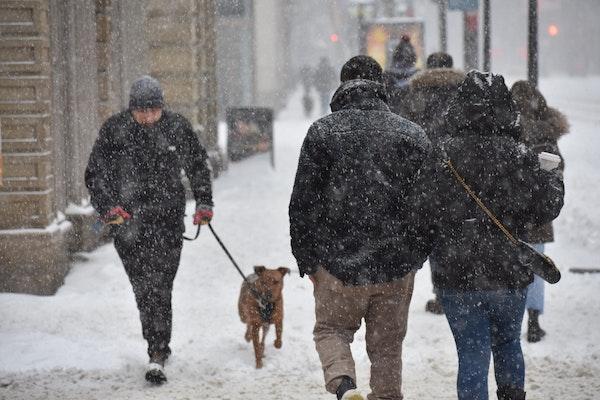 Des passants marchent dans la rue enneigée