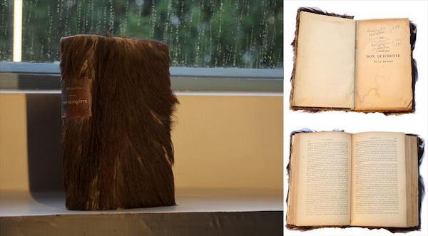 Le livre recouvert de la peau du chien de Le corbusier