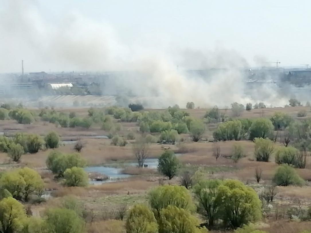 incendie delta de Vacaresti Bucarest