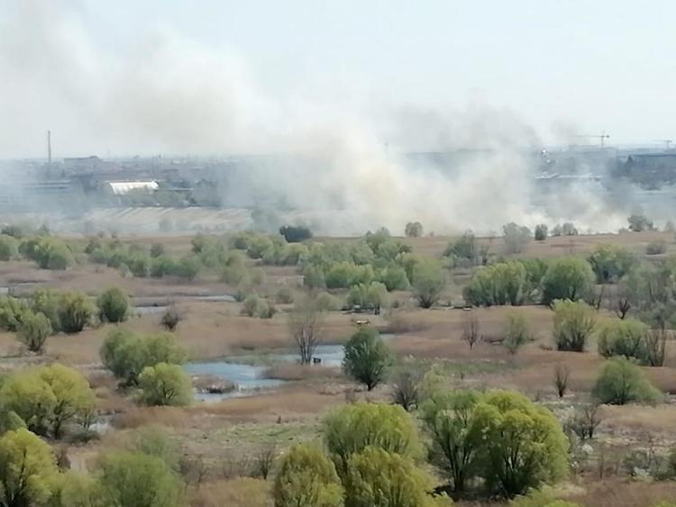 incendie delta de Vacaresti Bucarest