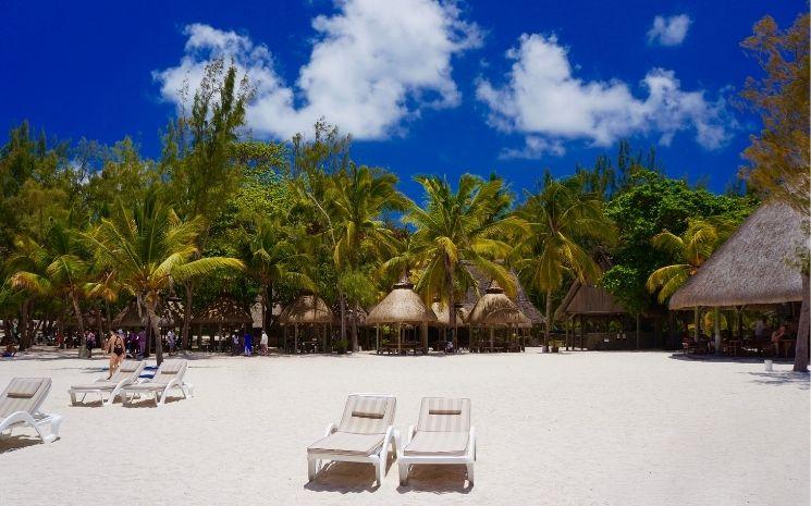 Transats et cocotiers sur une plage de l'île Maurice