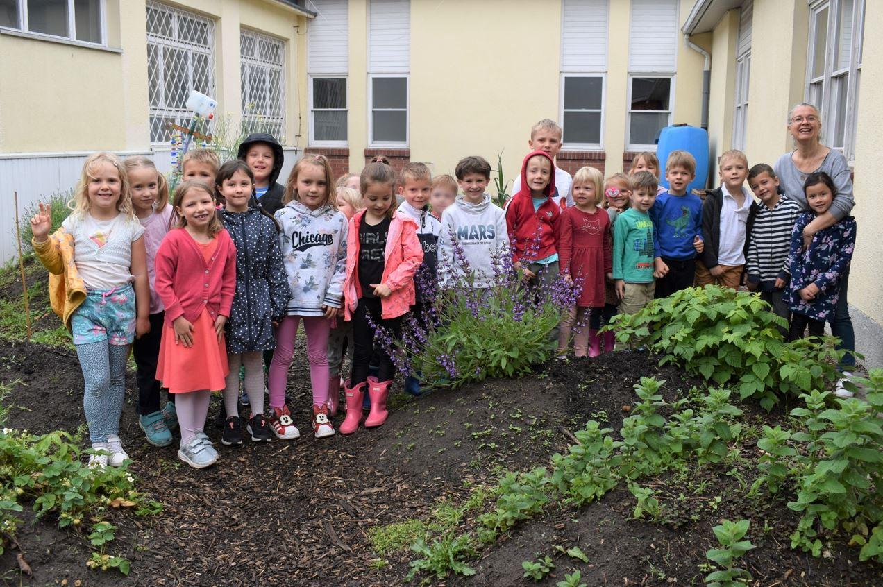 Classe de maternelle (GS) dans le jardin potager en permaculture 1