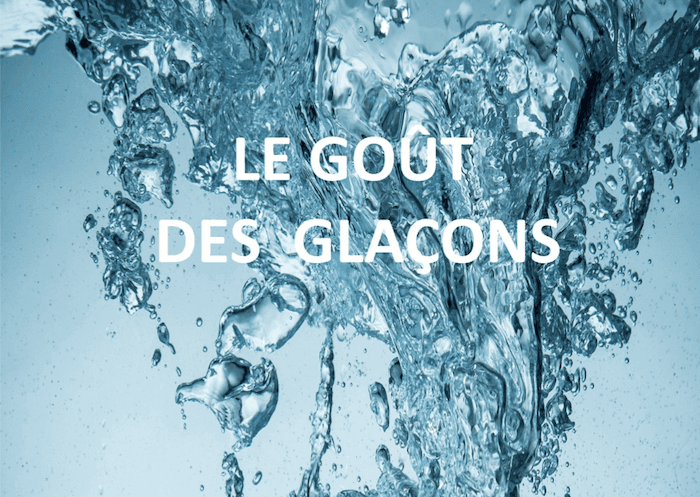 couverture du livre le gout des glaçons