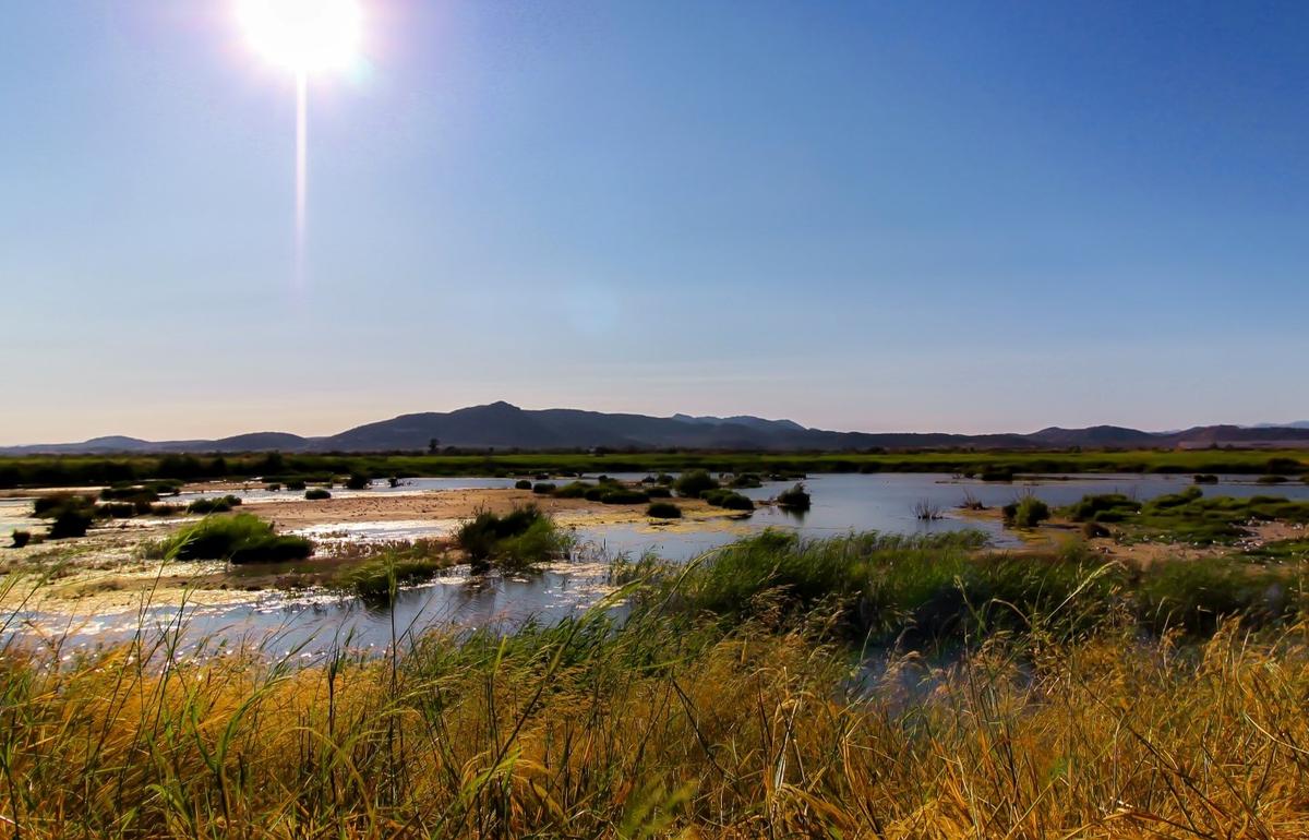 Un marecage pour faire des randonnees dans la communaute valencienne