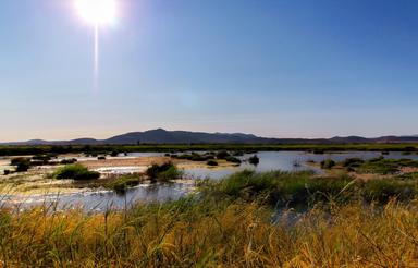 Un marecage pour faire des randonnees dans la communaute valencienne