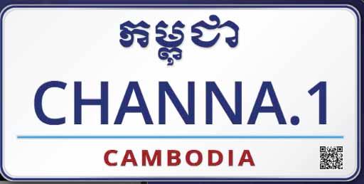 Plaque immatriculation personnalisée copy