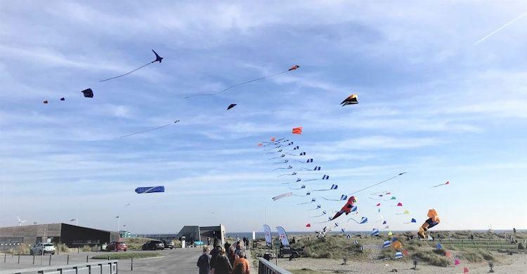 festival cerf-volant amager strand