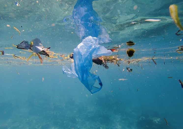 plastique en mer petite ministere de l'environnenet
