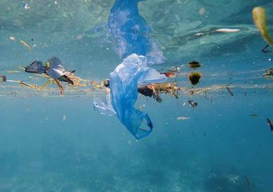 plastique en mer petite ministere de l'environnenet