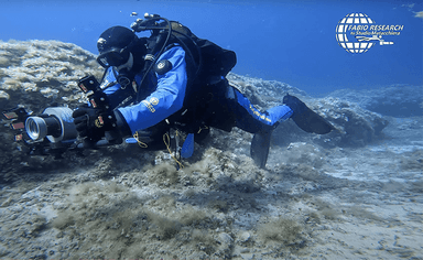 plongeur dans les fonds marins