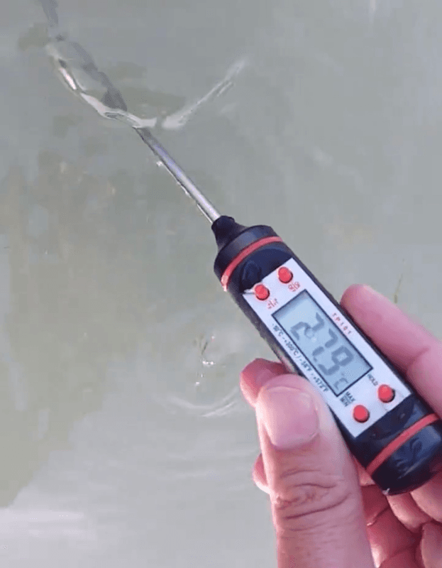 Eau de la Méditerranée chaude