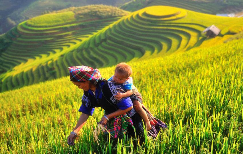 Vietnam Original Travel : les voyages nous rapprochent Mu Cang Chai