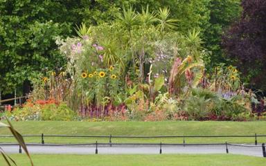 botanic-garden-Dublin (1)