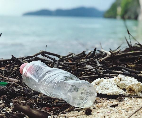 Journée nationale de nettoyage prévue en septembre en Roumanie