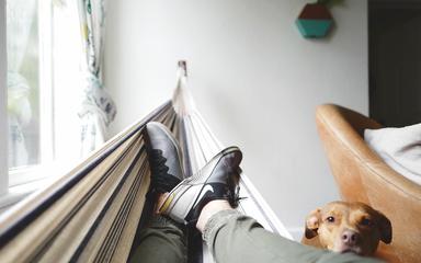 une personne dans un hamac et un chien