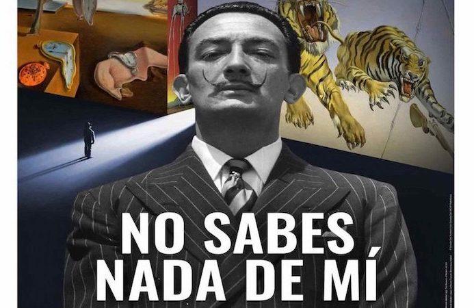 affiche de Desafío Dalí