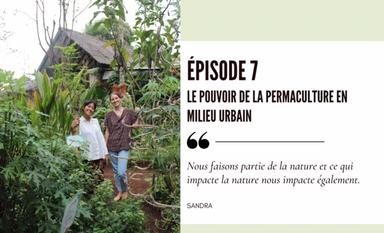 podcats permaculture jakarta