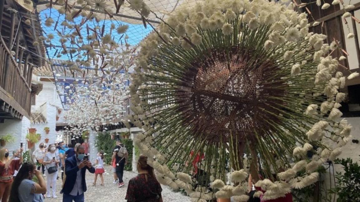 FLORA 2022 festival des fleurs dans les cours de Cordoue
