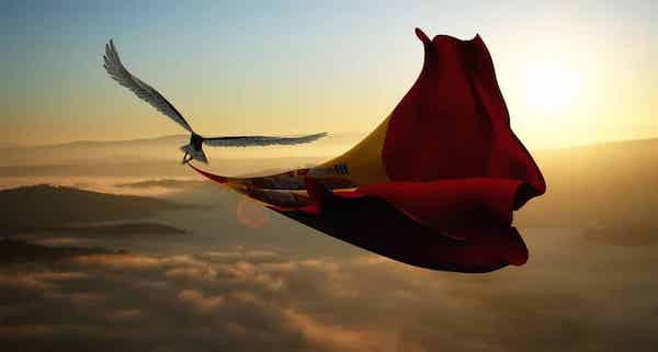 drapeau espagnol porté par oiseau dans le ciel