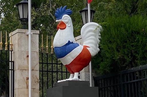 coq français