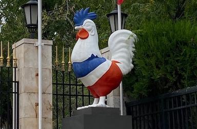 coq français
