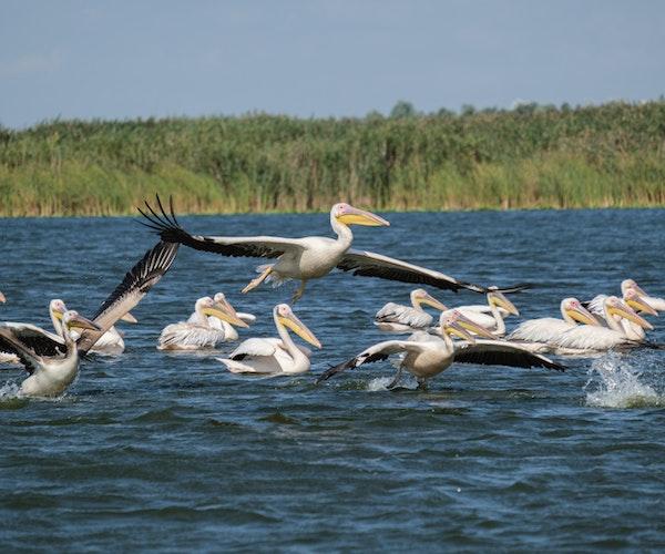 Les frais d'accès au delta du Danube augmenteront de 680 % en 2023