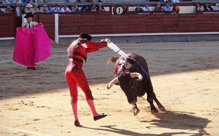 un toreador et le taureau dans le arènes