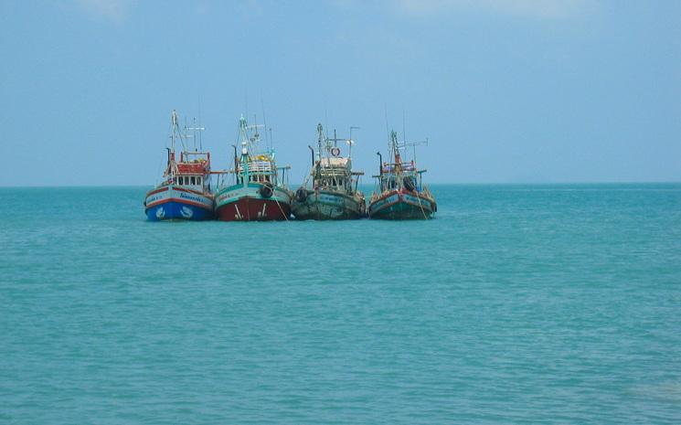 Bateaux-peche-Thailande-Tammy-Nicholson_0