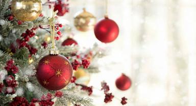 Boules de Noël accrochées sur un sapin