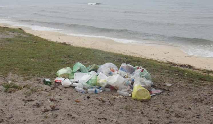 détrituts face à la mer