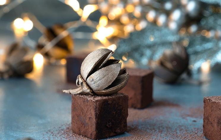 helena-yankovska truffes de noel