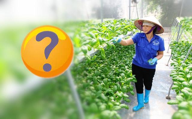 Meilleurs produits issus de l'agriculture au Vietnam