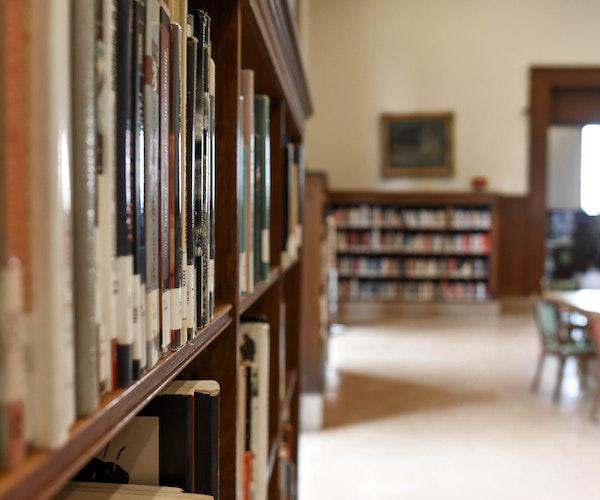 Le comité d'éthique confirme une plainte pour plagiat contre le ministre Lucian Bode