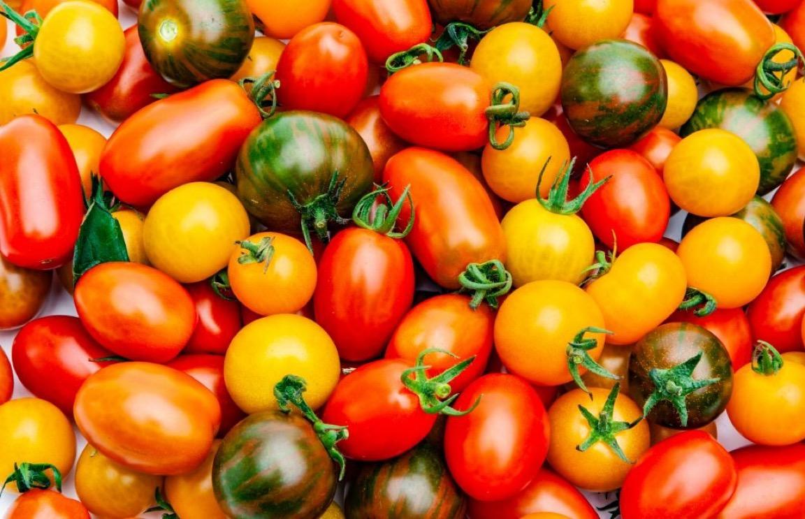 Tomates rouges, vertes, jaunes