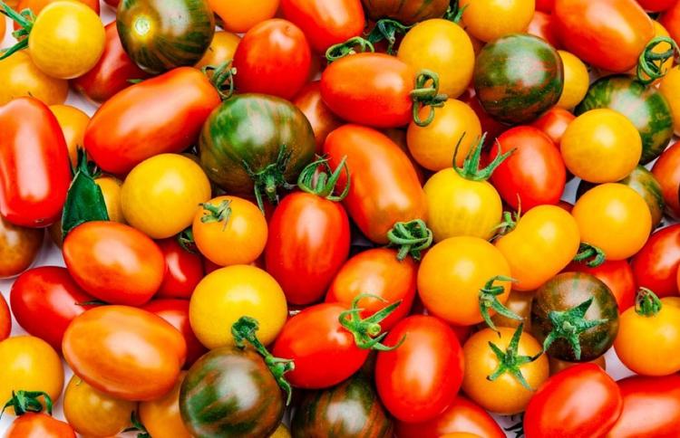 Tomates rouges, vertes, jaunes