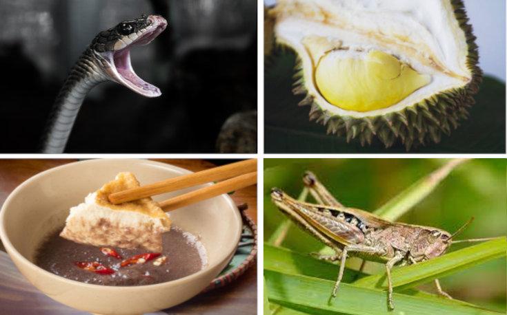 Cuisine méconnue du Vietnam : viande de chien, serpent, insectes ...