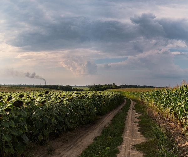 VENTE D’UN TERRAIN AGRICOLE EXTRAMUROS : mode de calcul et de paiement de l'impôt