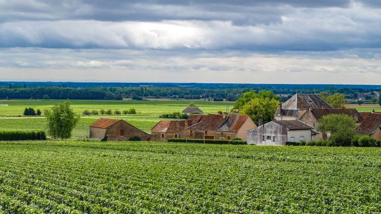 Retour en France pour faire la route des vins de Bourgogne