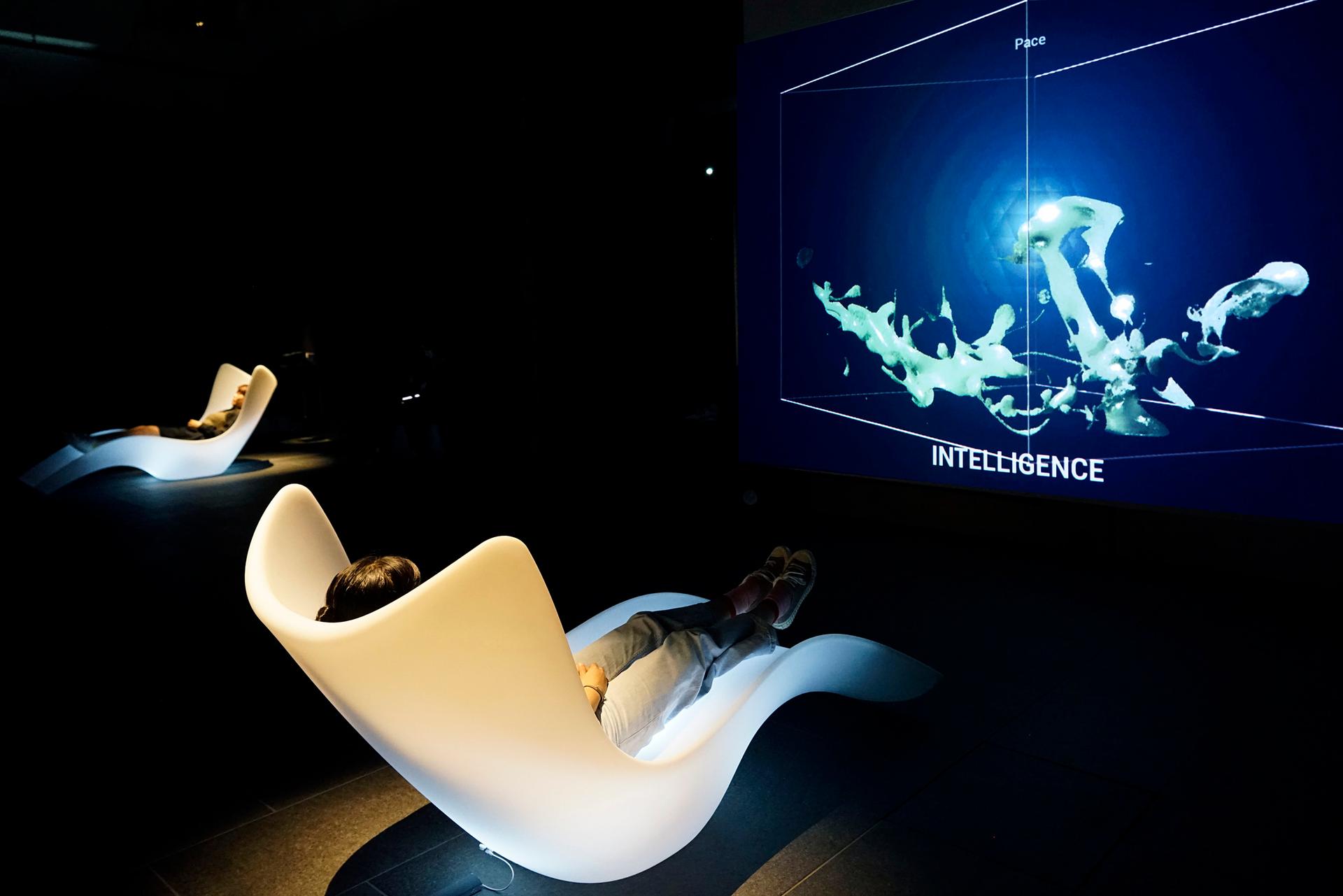 VoV: Le public design les Valeurs Humaines