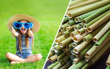 Génération Z et leur impact sur l'environnement: passer du plastique à l'herbe