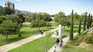une personne en train de faire du vélo dans ke jardin du Turia à Valencia