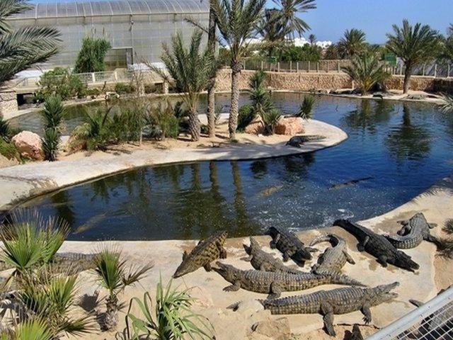 Dubaï Crocodile Park