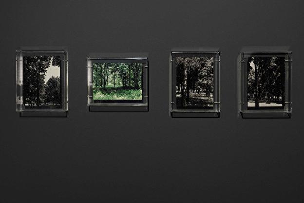 Michael Müller: Am Abgrund der Bilder (At the Abyss of Images)
