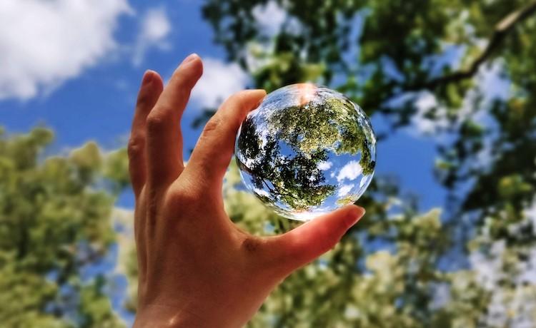 boule cristal devant un arbre vert