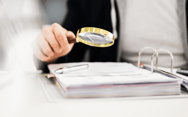 Les fraudes aux aides sociales des expatriés