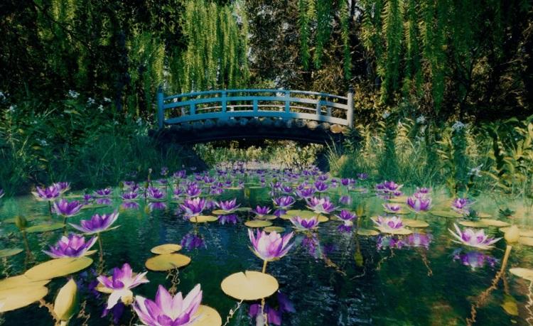 tableau de monet nénuphars en réalité augmentée