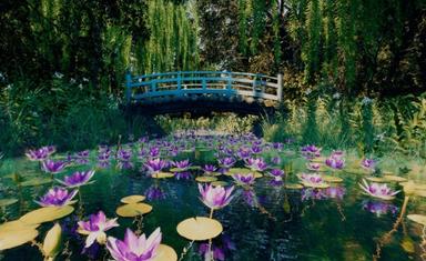 tableau de monet nénuphars en réalité augmentée