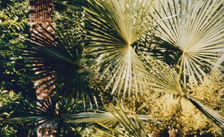 24b_Hannah Villiger_Work_1976_Cat 085__©THE ESTATE OF HANNAH VILLIGER