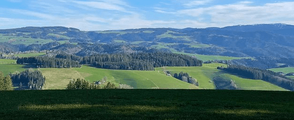 Forêt Noire @en.foret_.noire - Instagram