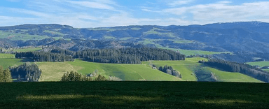 Forêt Noire @en.foret_.noire - Instagram